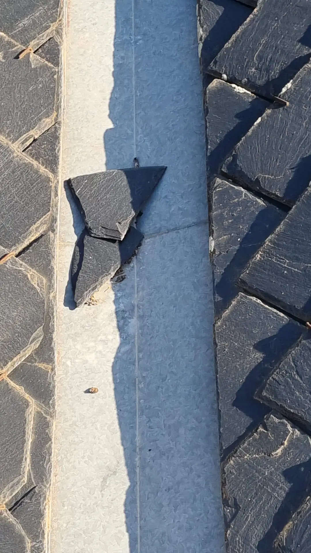 portadapizarra